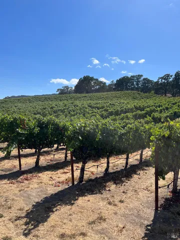 $3,850,000 | 4060 Monticello Road, Napa, CA 94558