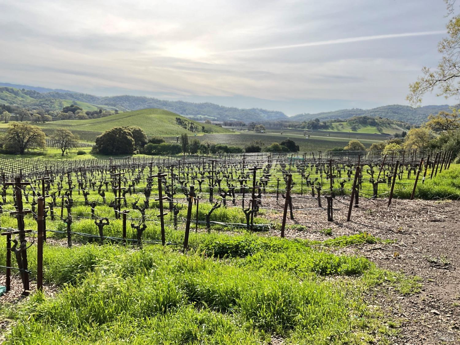 4060 Monticello Road Napa, CA 94558 - Photo 2 of 54 a view of lake with mountain view