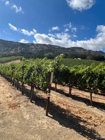 $3,850,000 | 4060 Monticello Road, Napa, CA 94558