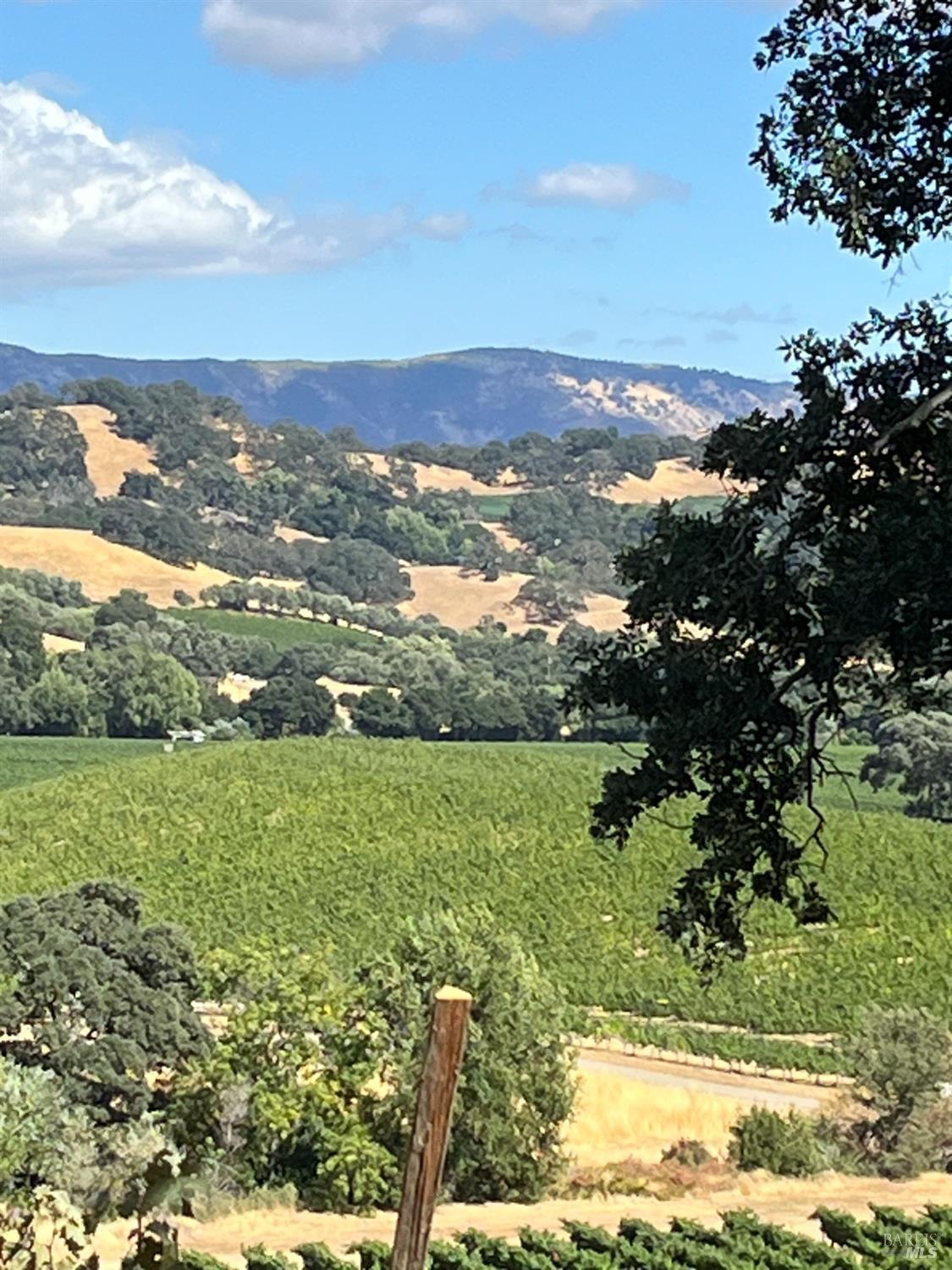 4060 Monticello Road Napa, CA 94558 - Photo 27 of 54 a view of a yard with an outdoor space