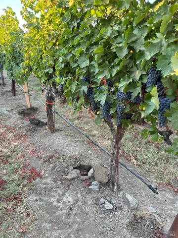 $3,850,000 | 4060 Monticello Road, Napa, CA 94558