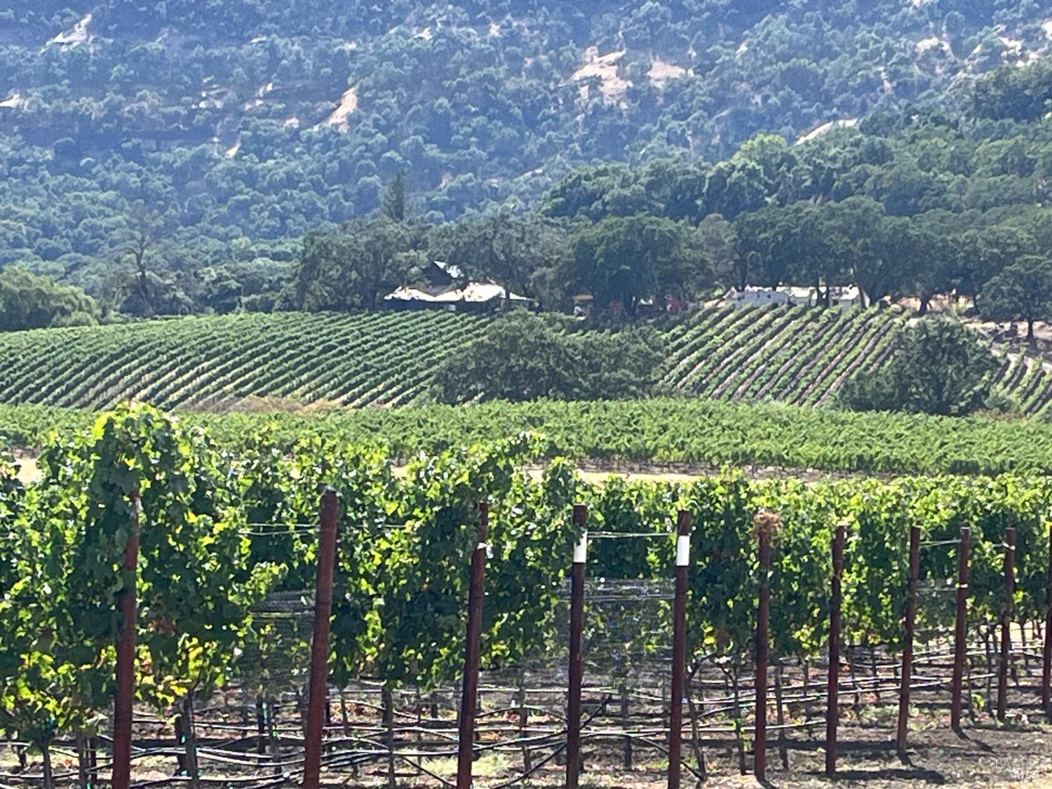 4060 Monticello Road Napa, CA 94558 - Photo 3 of 54 a view of a bunch of trees