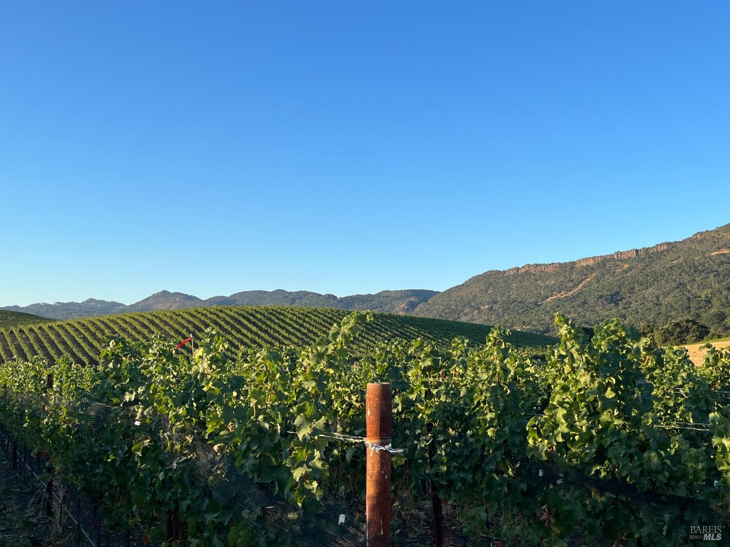 4060 Monticello Road Napa, CA 94558 - Photo 31 of 54 a view of a mountain