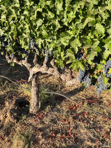 $3,850,000 | 4060 Monticello Road, Napa, CA 94558