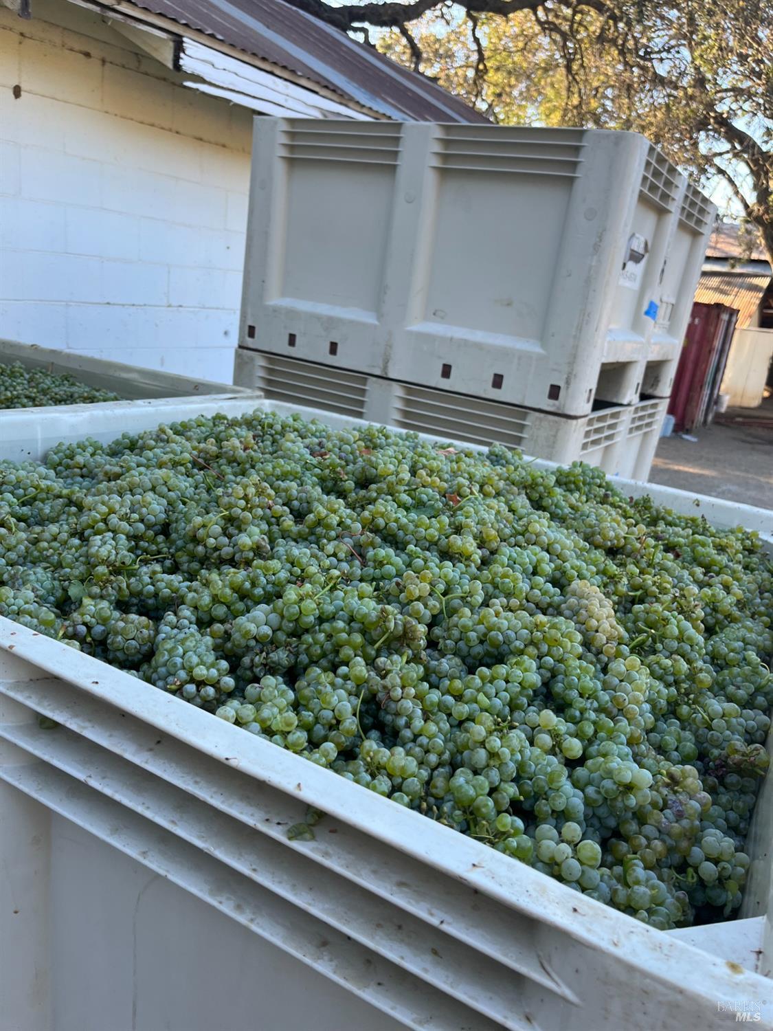 4060 Monticello Road Napa, CA 94558 - Photo 34 of 54 a view of a back yard from a window