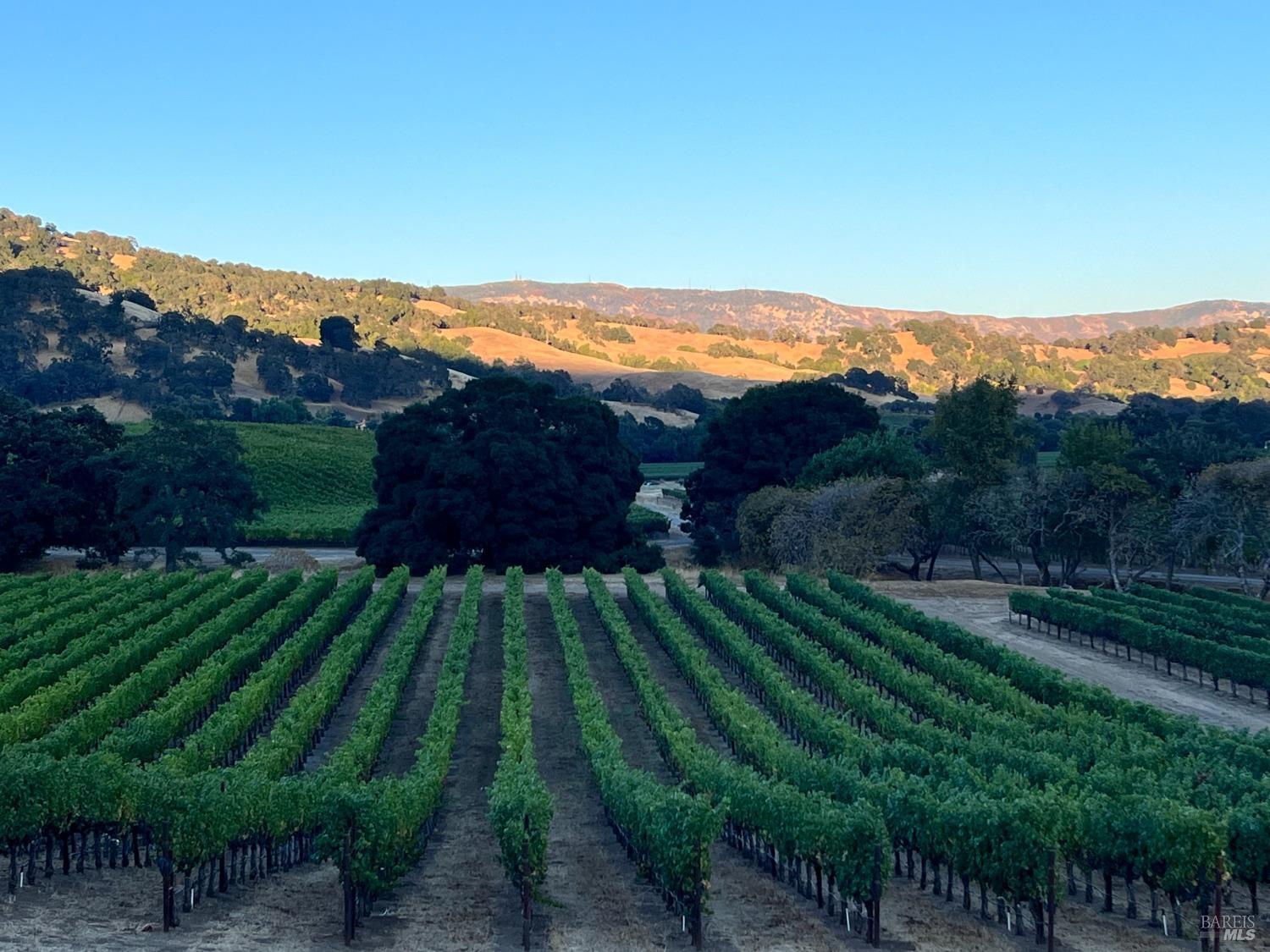 4060 Monticello Road Napa, CA 94558 - Photo 35 of 54 a view of a yard with an outdoor space and seating