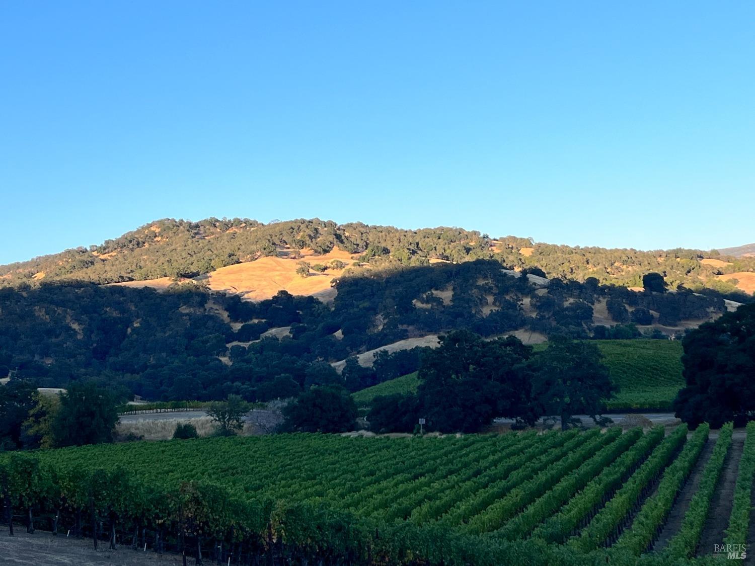 4060 Monticello Road Napa, CA 94558 - Photo 36 of 54 a view of outdoor space and city view