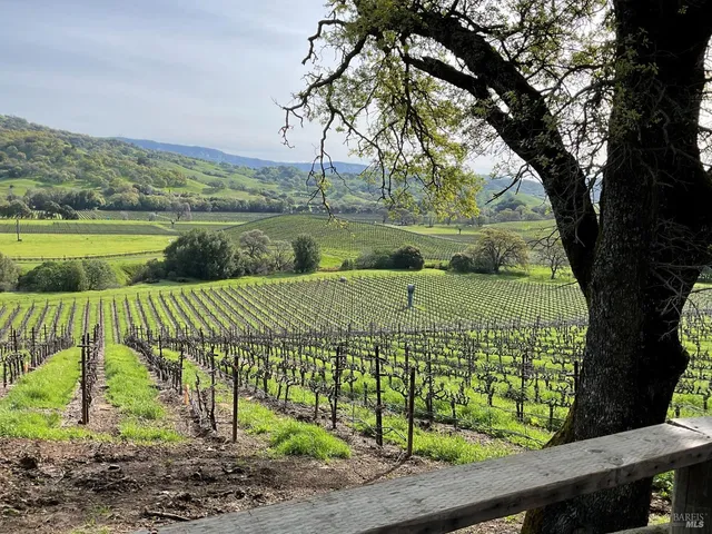 $3,850,000 | 4060 Monticello Road, Napa, CA 94558