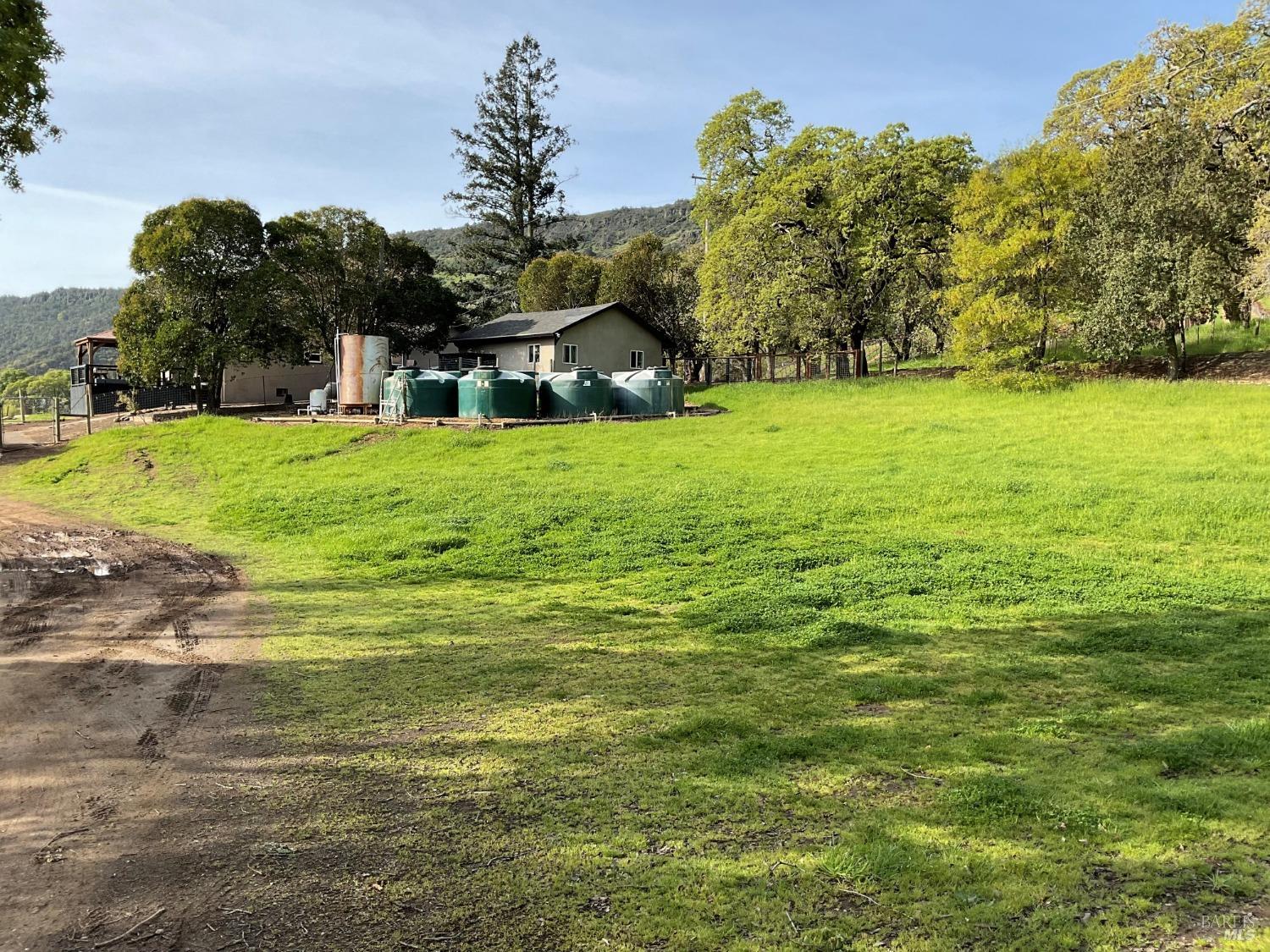 4060 Monticello Road Napa, CA 94558 - Photo 44 of 54 a view of a field of grass and trees