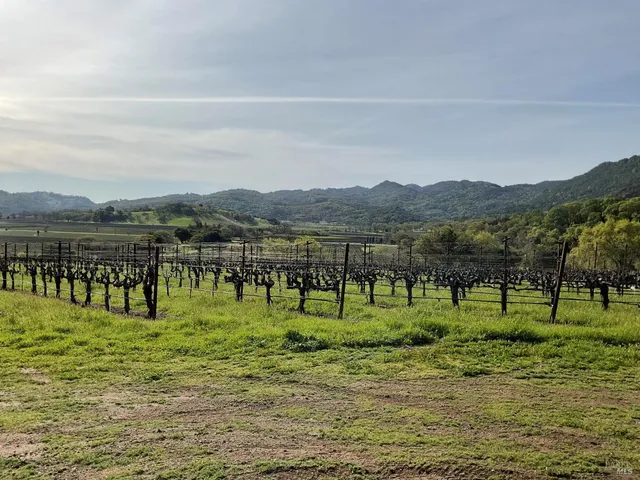$3,850,000 | 4060 Monticello Road, Napa, CA 94558