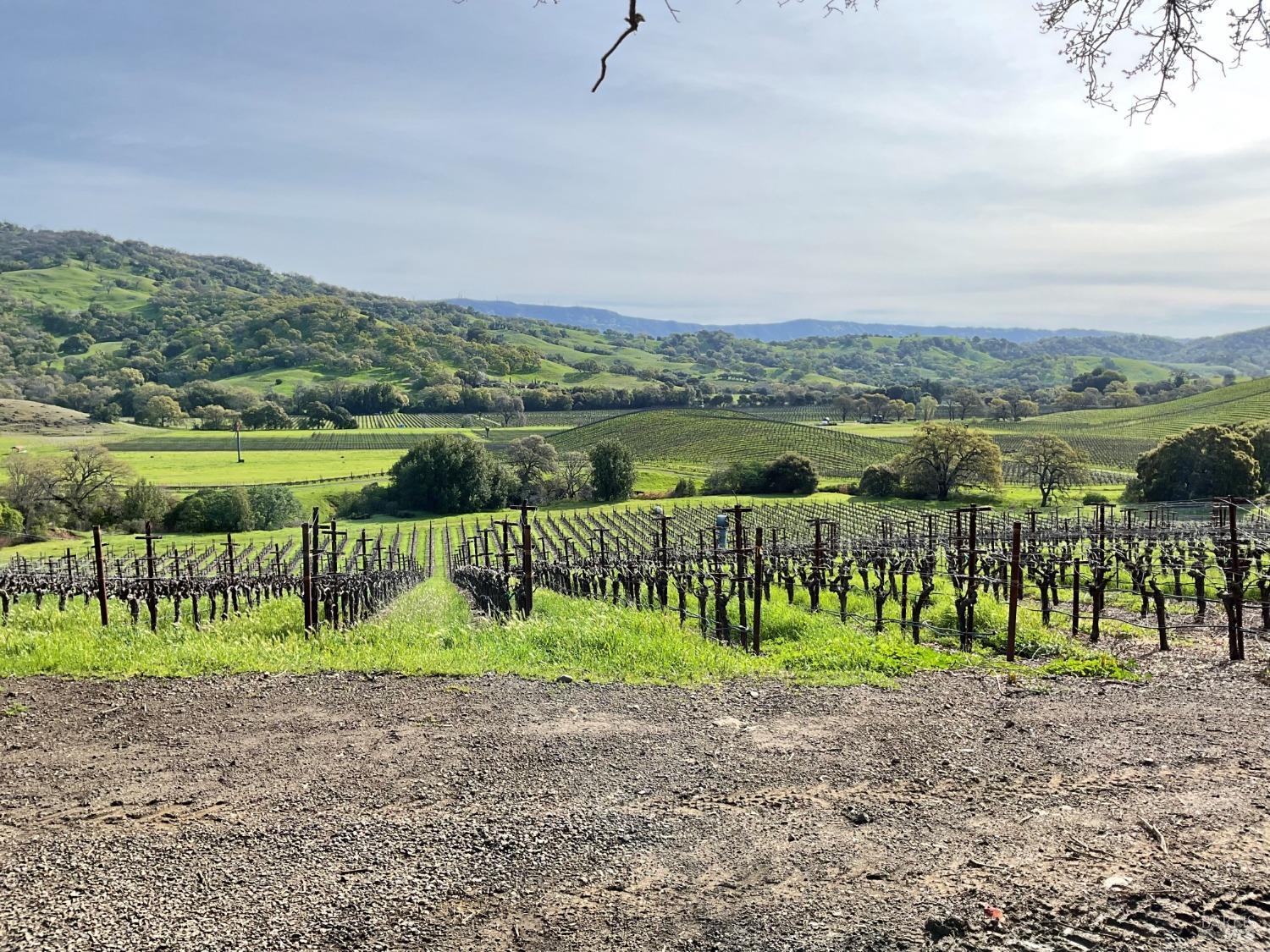 4060 Monticello Road Napa, CA 94558 - Photo 6 of 54 a view of lake with a yard