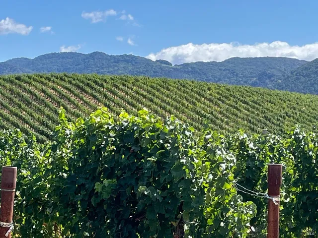 $3,850,000 | 4060 Monticello Road, Napa, CA 94558