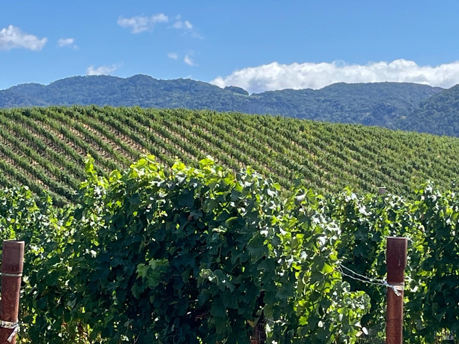 4060 Monticello Road Napa, CA 94558 - Photo 7 of 54 a view of a city with a mountain