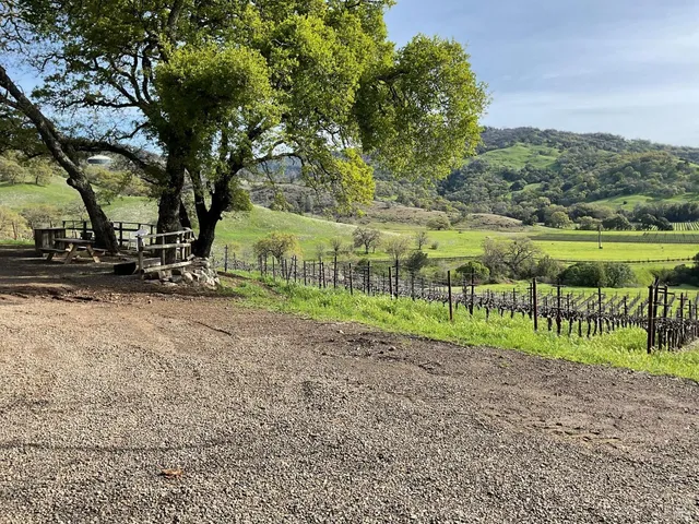 $3,850,000 | 4060 Monticello Road, Napa, CA 94558