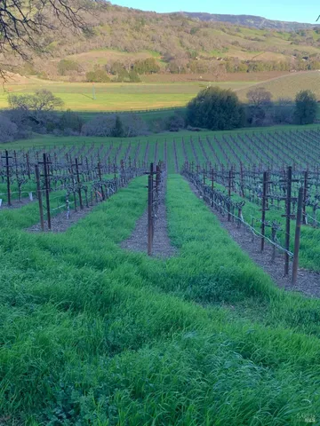 $3,850,000 | 4060 Monticello Road, Napa, CA 94558