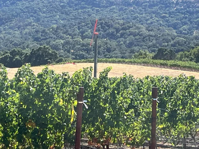 $3,850,000 | 4060 Monticello Road, Napa, CA 94558