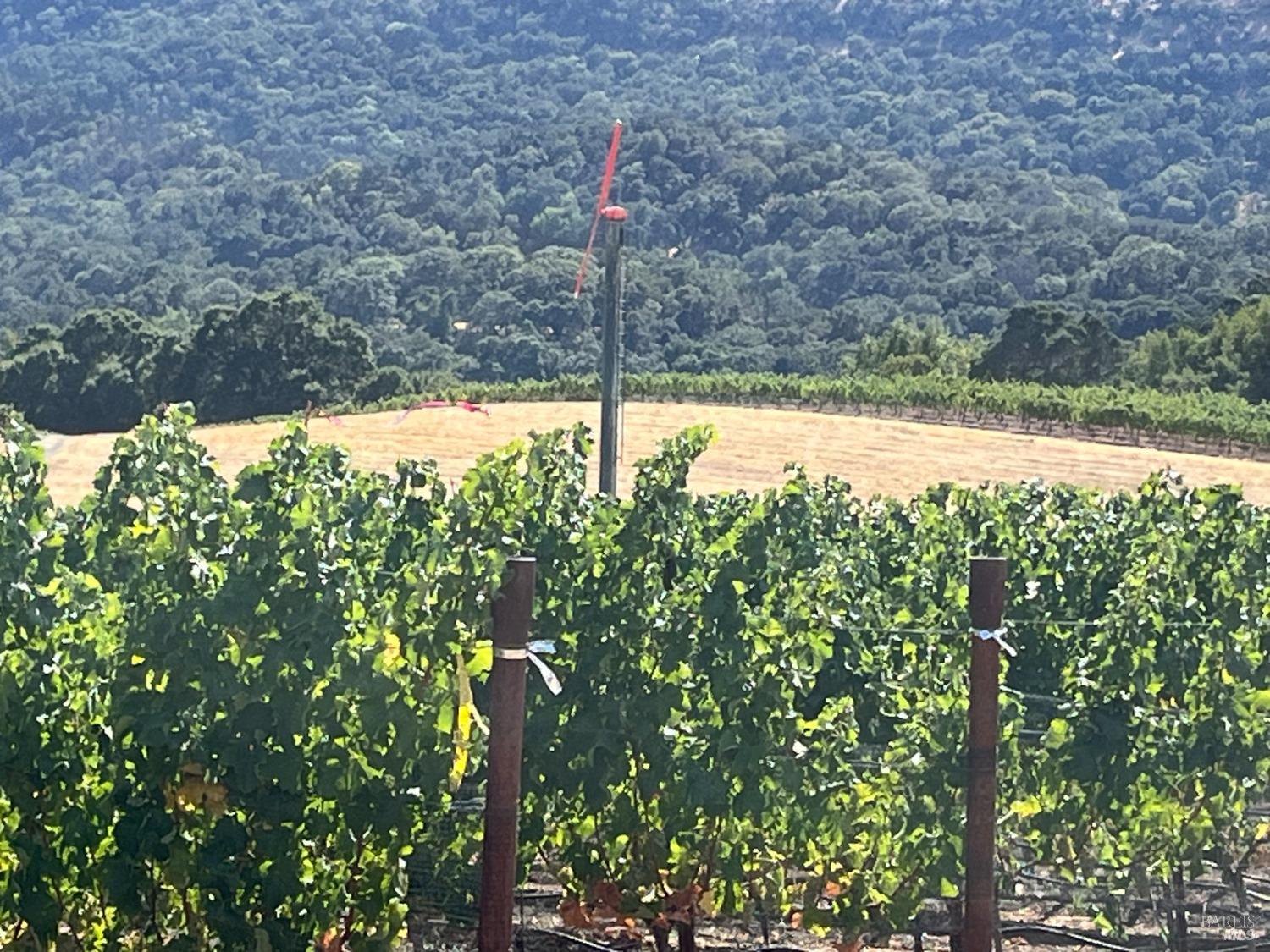 4060 Monticello Road Napa, CA 94558 - Photo 10 of 54 a view of a yard