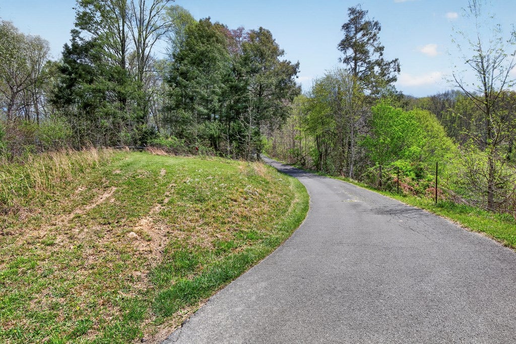 11527 Lindell Road Meadowview, VA 24361 - Photo 9 of 63 Gallery Image 9