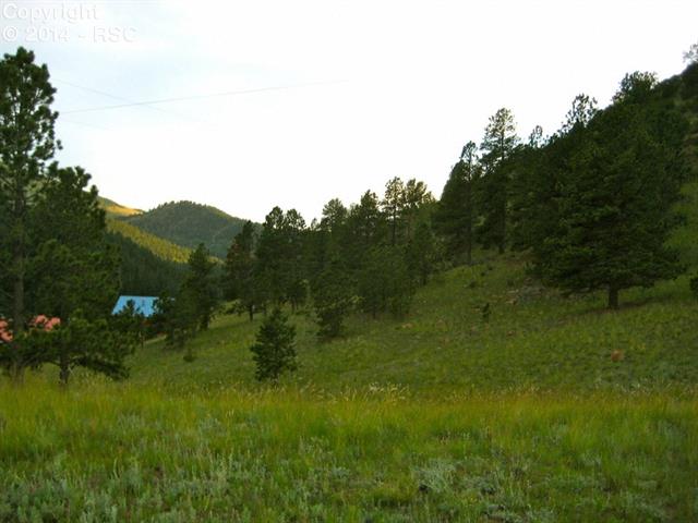 67 Independence Road Cripple Creek, CO 80813 - Photo 2 of 11