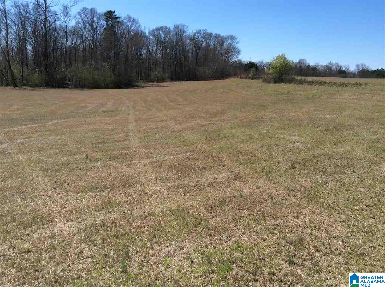0 Coats Bend Road, Unit 1 Gadsden, AL 35901 - Photo 4 of 20