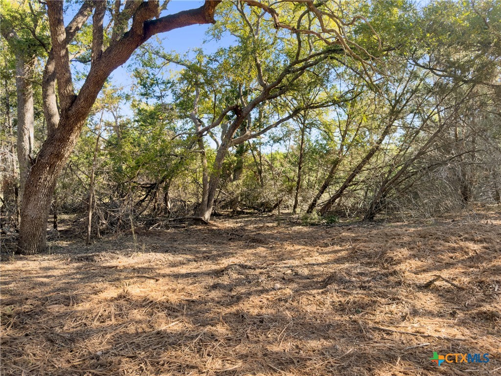 817 Rutherford Fischer, TX 78623 - Photo 11 of 23