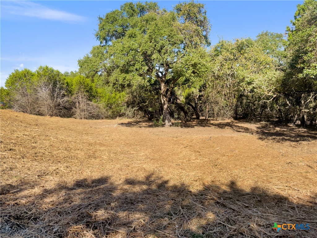 817 Rutherford Fischer, TX 78623 - Photo 13 of 23