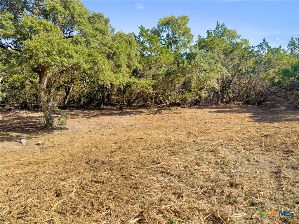 817 Rutherford Fischer, TX 78623 - Photo 14 of 23