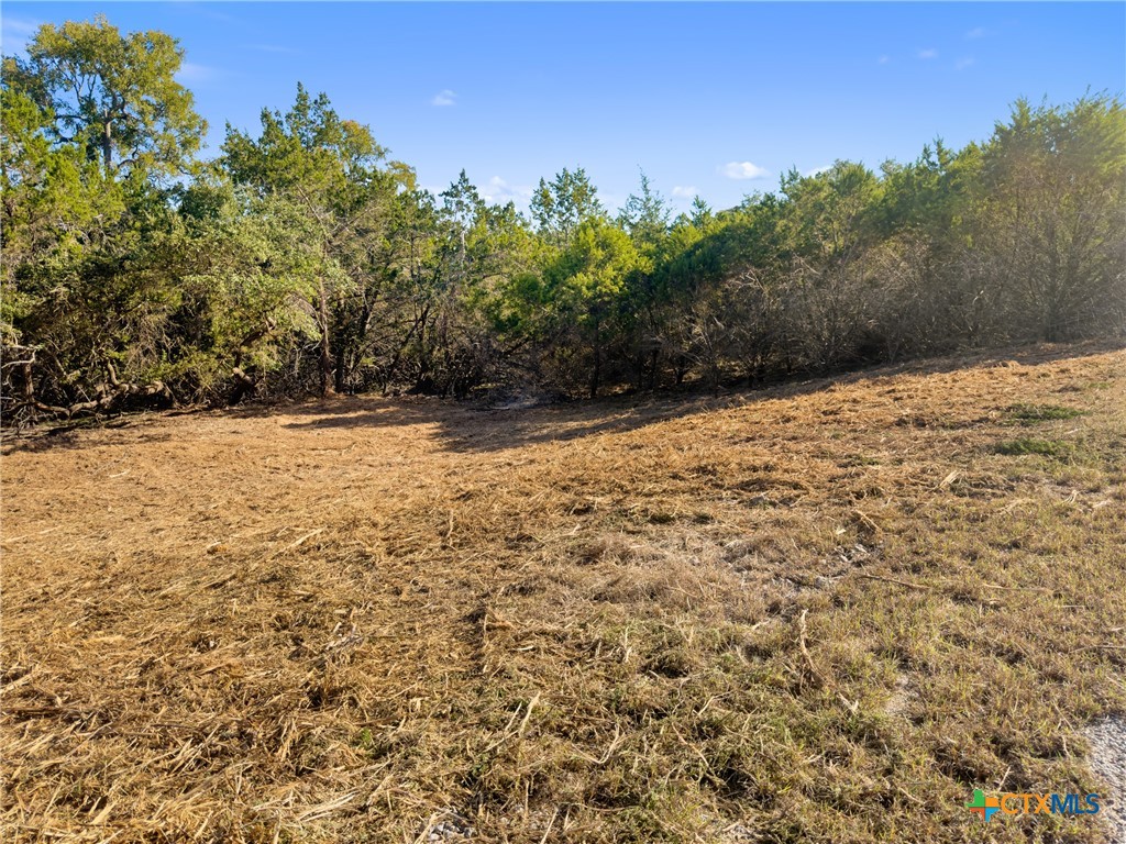 817 Rutherford Fischer, TX 78623 - Photo 15 of 23