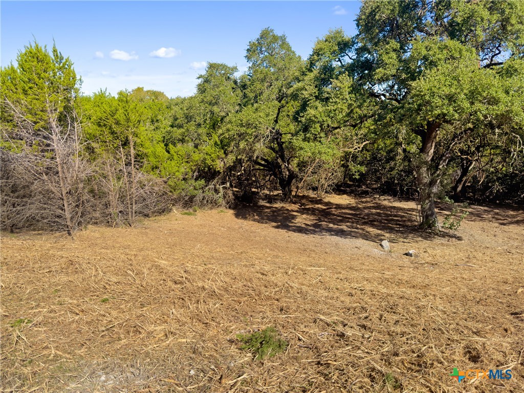 817 Rutherford Fischer, TX 78623 - Photo 16 of 23