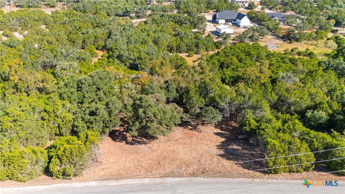 817 Rutherford Fischer, TX 78623 - Photo 18 of 23