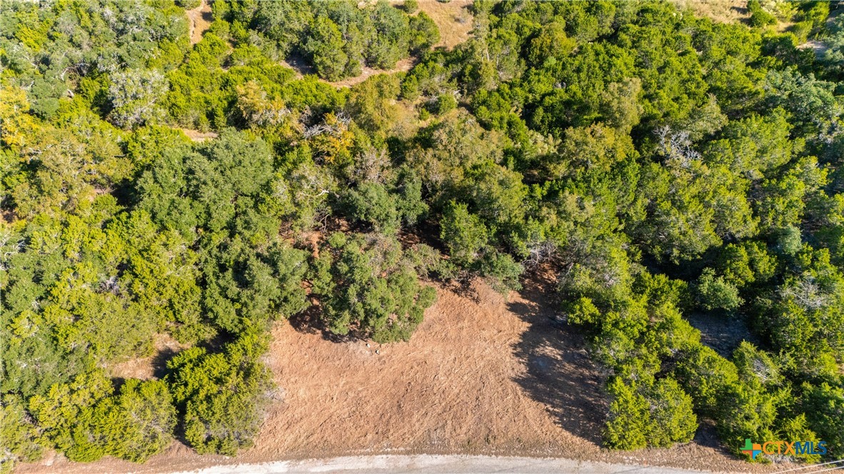 817 Rutherford Fischer, TX 78623 - Photo 19 of 23