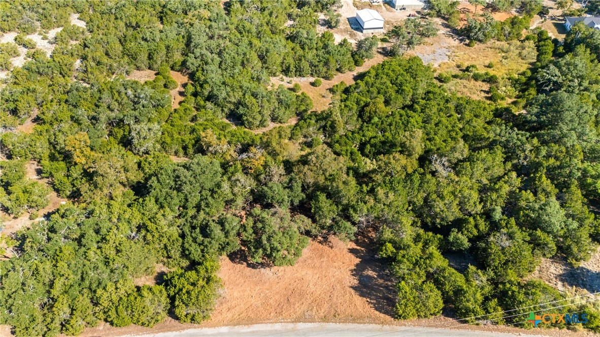 817 Rutherford Fischer, TX 78623 - Photo 20 of 23