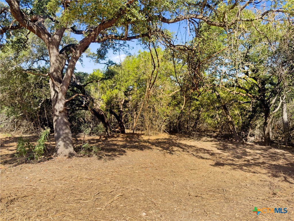 817 Rutherford Fischer, TX 78623 - Photo 2 of 23