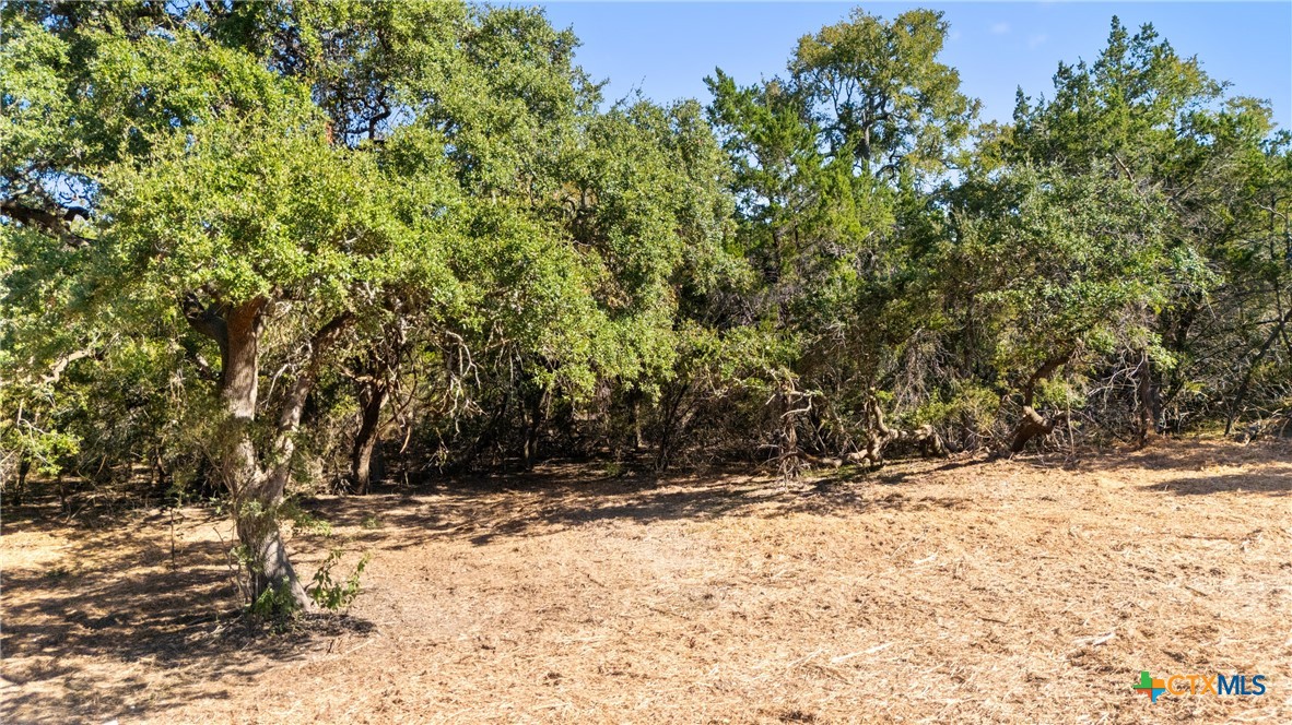 817 Rutherford Fischer, TX 78623 - Photo 21 of 23