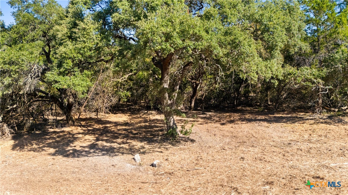 817 Rutherford Fischer, TX 78623 - Photo 22 of 23