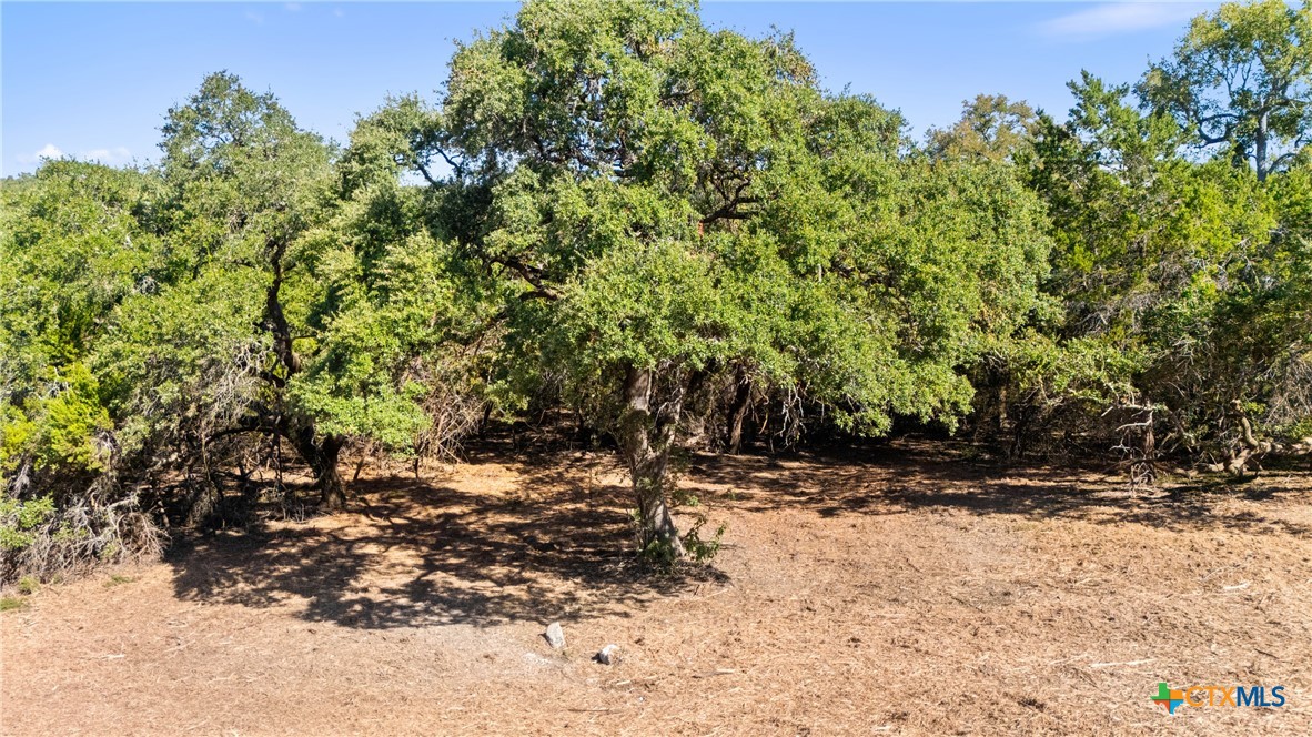 817 Rutherford Fischer, TX 78623 - Photo 23 of 23