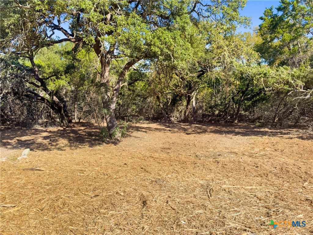 817 Rutherford Fischer, TX 78623 - Photo 3 of 23