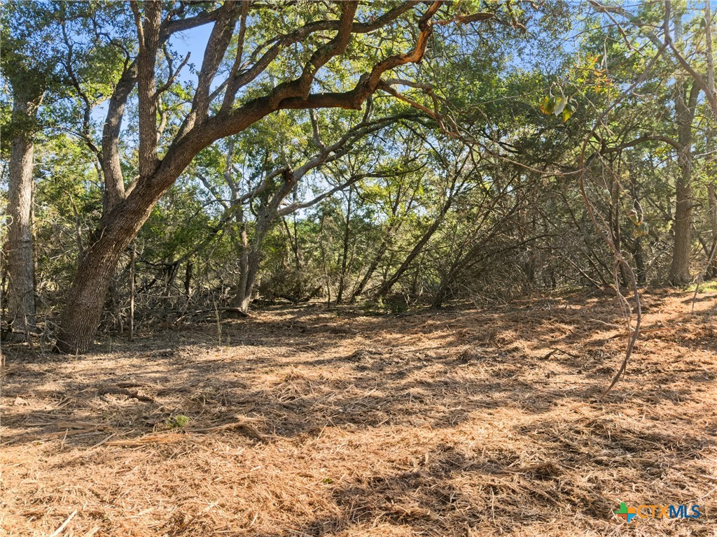 817 Rutherford Fischer, TX 78623 - Photo 4 of 23