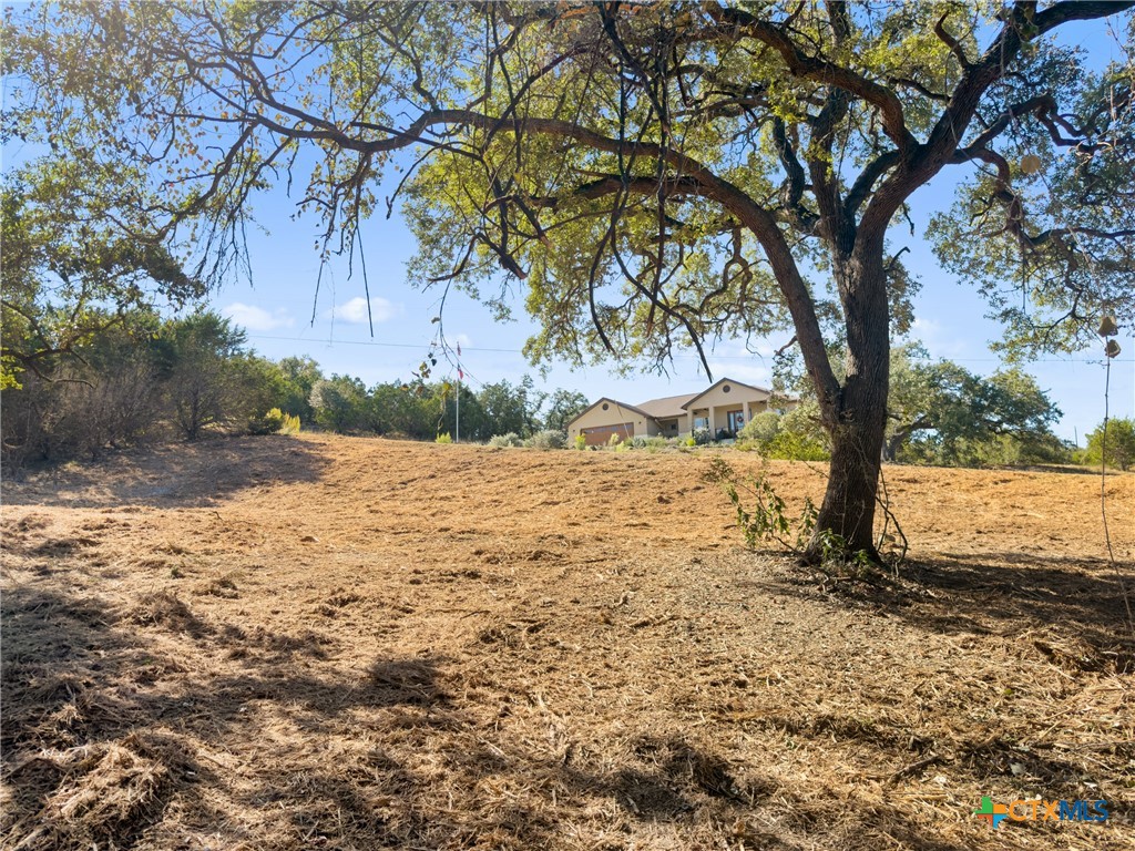 817 Rutherford Fischer, TX 78623 - Photo 5 of 23