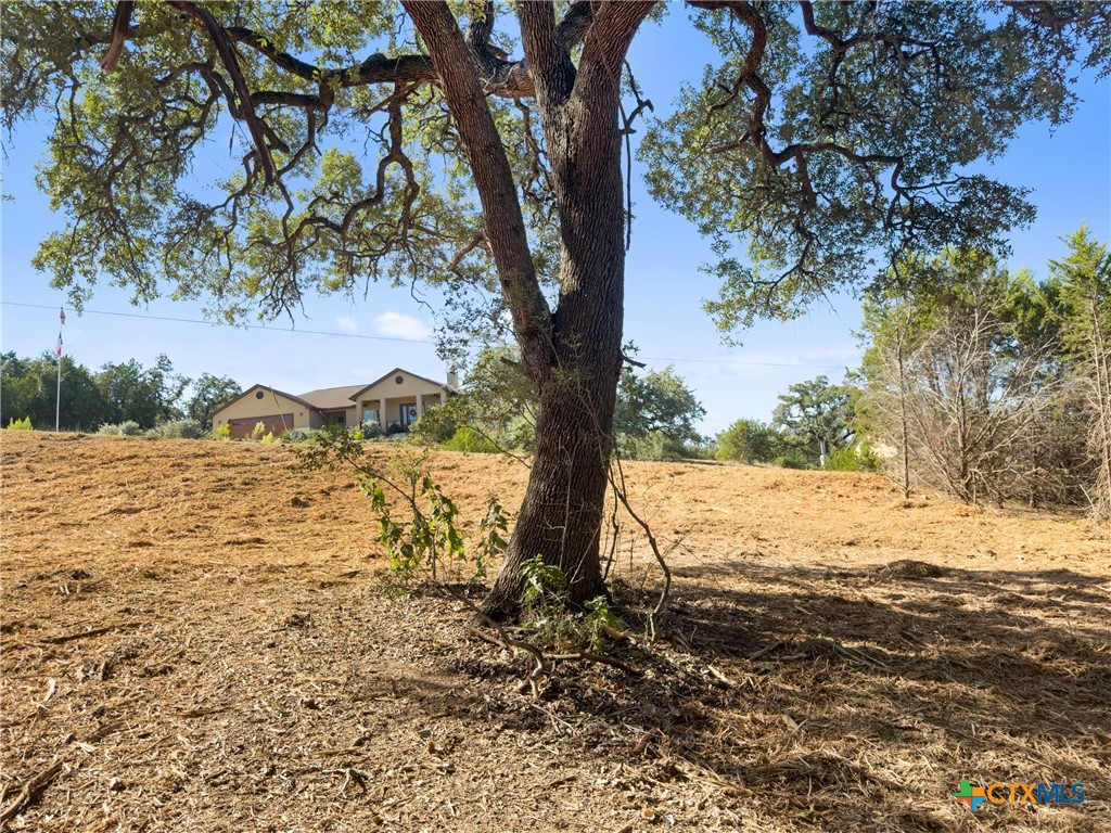 817 Rutherford Fischer, TX 78623 - Photo 6 of 23