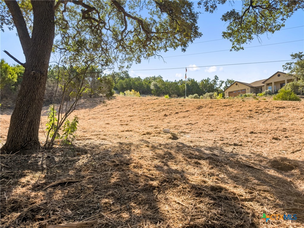 817 Rutherford Fischer, TX 78623 - Photo 7 of 23