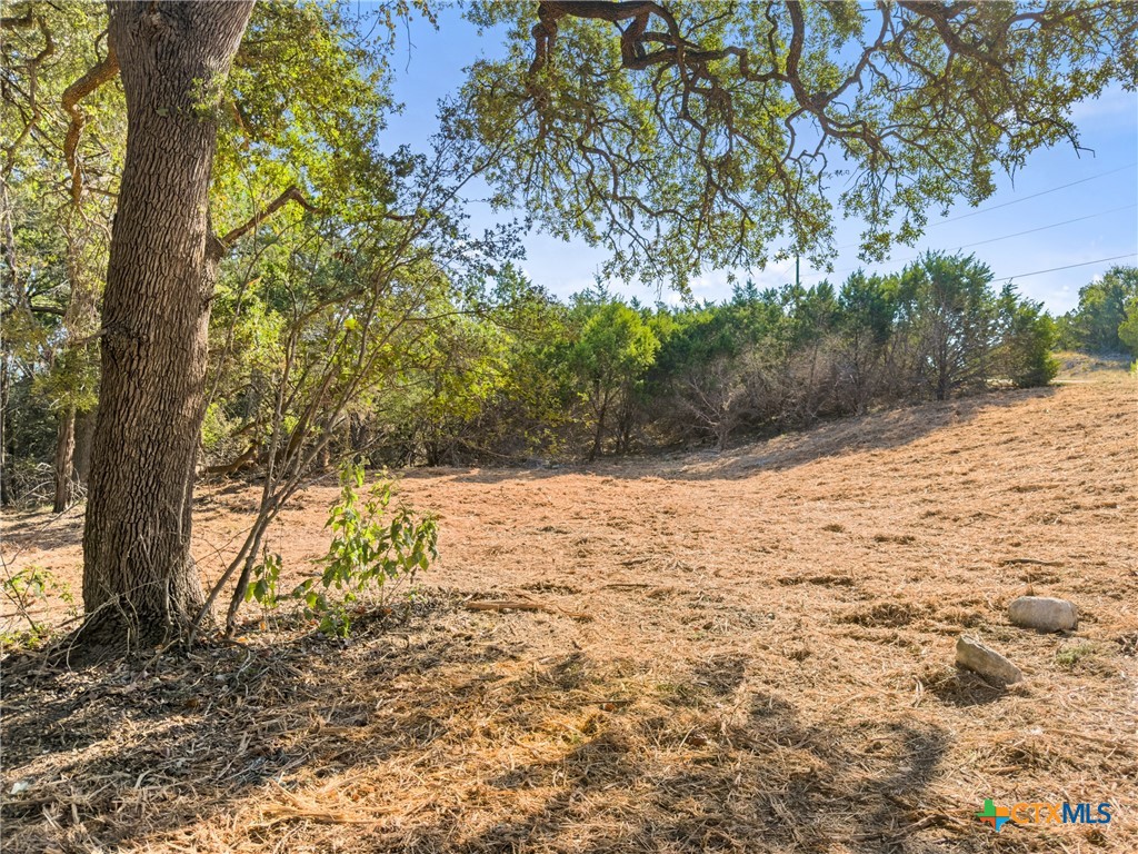 817 Rutherford Fischer, TX 78623 - Photo 8 of 23