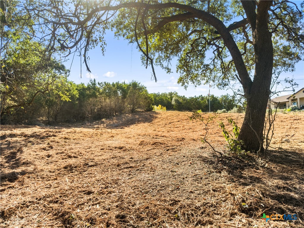 817 Rutherford Fischer, TX 78623 - Photo 9 of 23