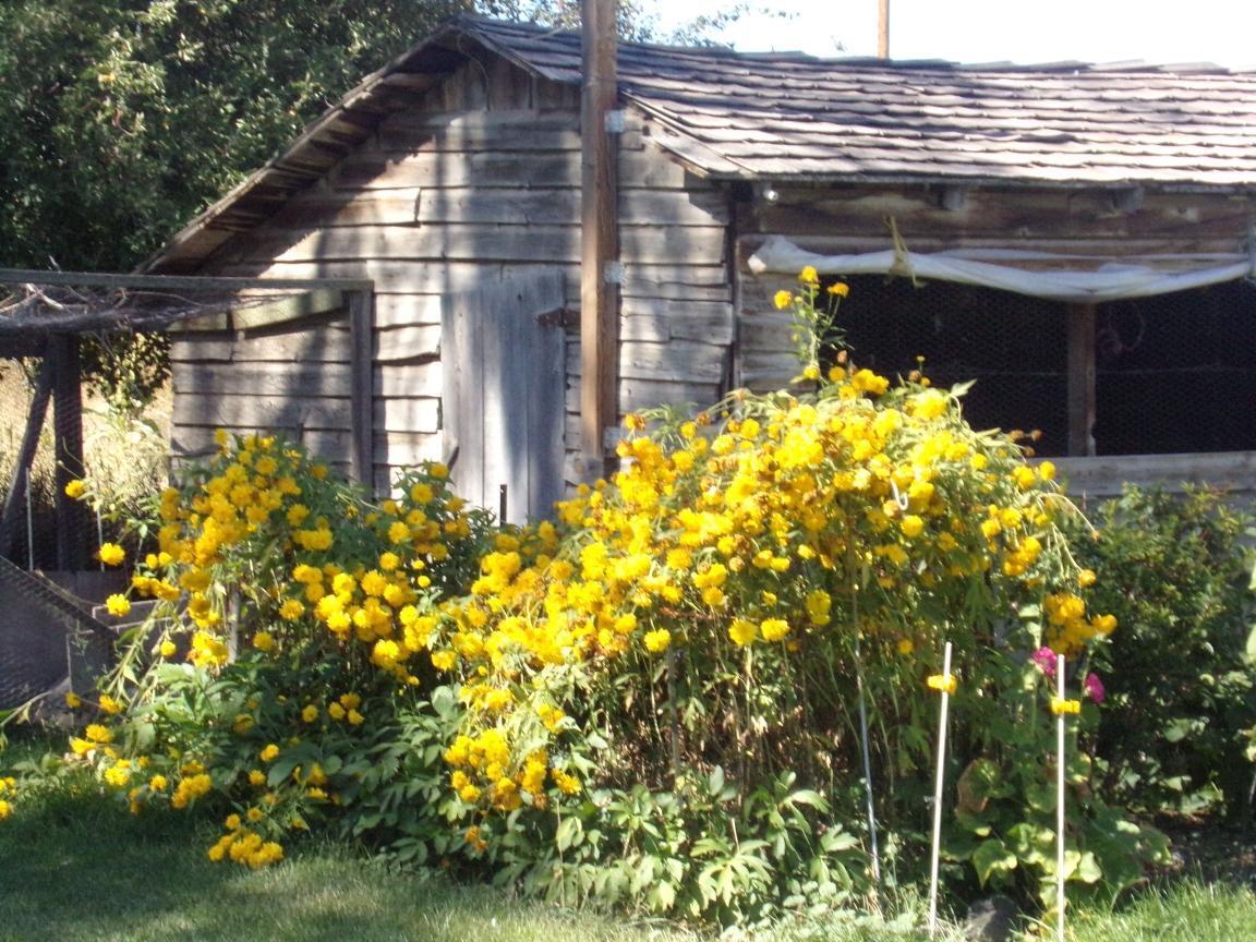 64325 Tyler Road Bend, OR 97703 - Photo 50 of 65 Flowers Tyler 8