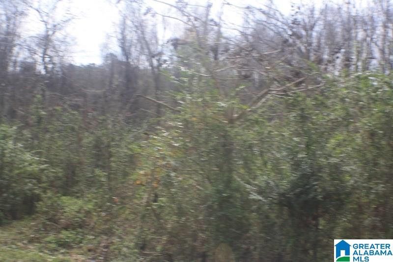 Old Choccolocco Road, Unit 97 Weaver, AL 36277 - Photo 2 of 27