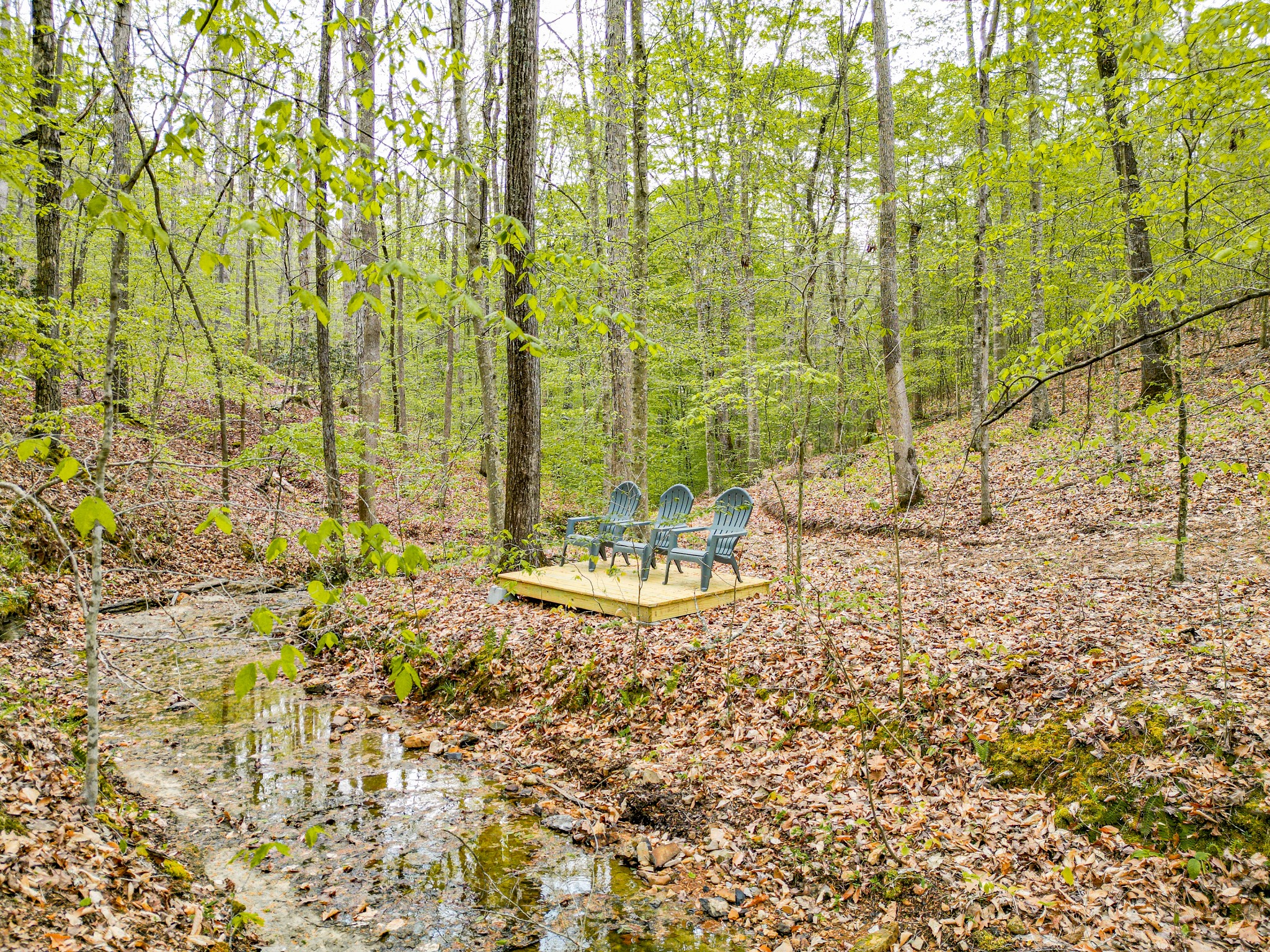 920 Mason Bates Bend Road Centerville, TN 37033 - Photo 43 of 82 Gallery Image 43