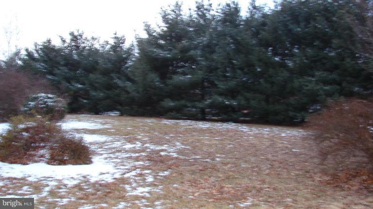 4240 Timber Ridge Road Berkeley Springs, WV 25411 - Photo 4 of 7 View from Unit