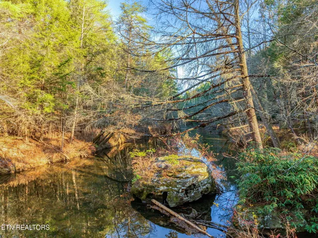 $699,900 | 135 White Creek Court, Deer Lodge, TN 37726