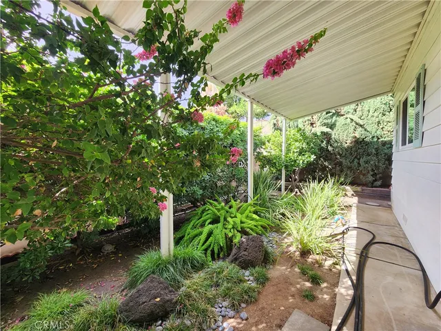 a view of a backyard