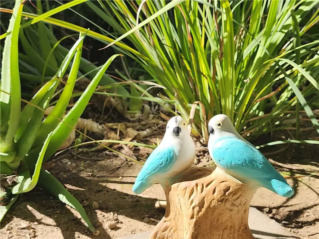 a plant that is in front of a house
